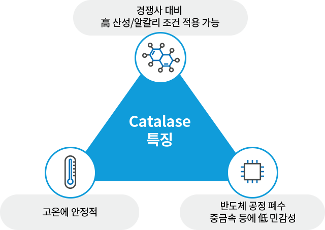 Catalase 특징
